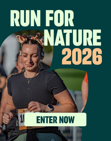 RFN Homepage Banner