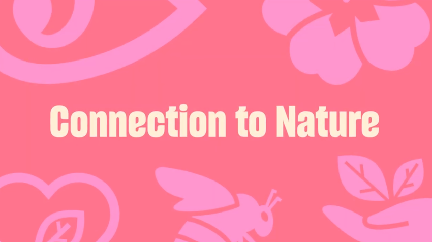 Connection To Nature