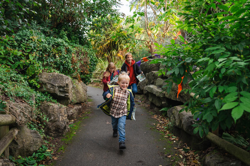 Halloween Trail 2026 3