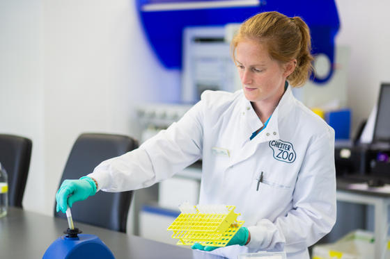 Chester Zoo Science Centre (Endocrinology, Lab, Science) (1)