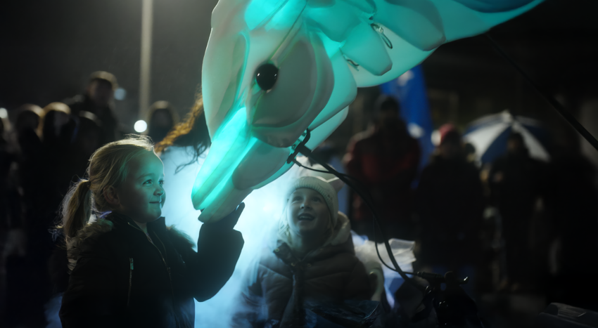 Dolphin Puppet And Child