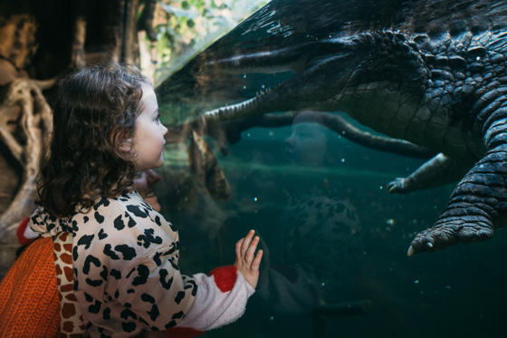 Chesterzoo Wellness Elliottwaring 22
