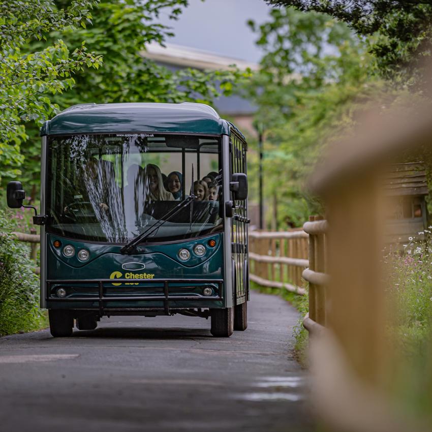 Experiences Tours 077