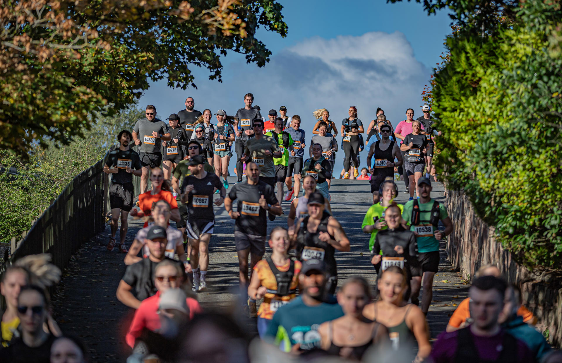 Zoorun 60