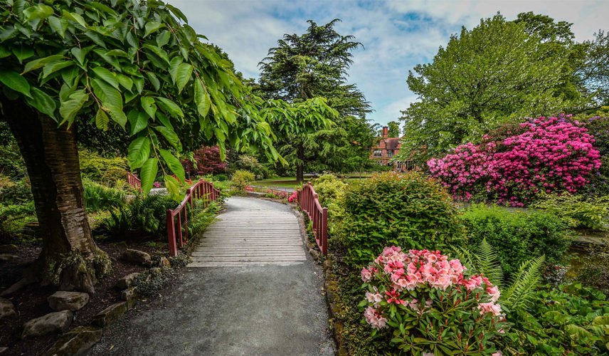 Rock Garden (Image shows a path and wooden bridge running through flowers and shrubbery)