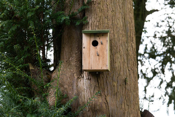 Birdbox