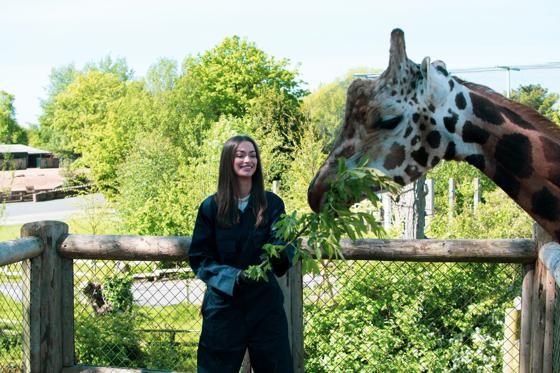 Giraffe Experience Participant