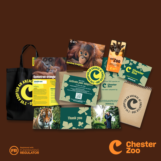 Packshot Orangutan 1 1