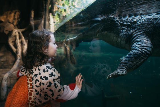 Chesterzoo Wellness Elliottwaring 23 (1)