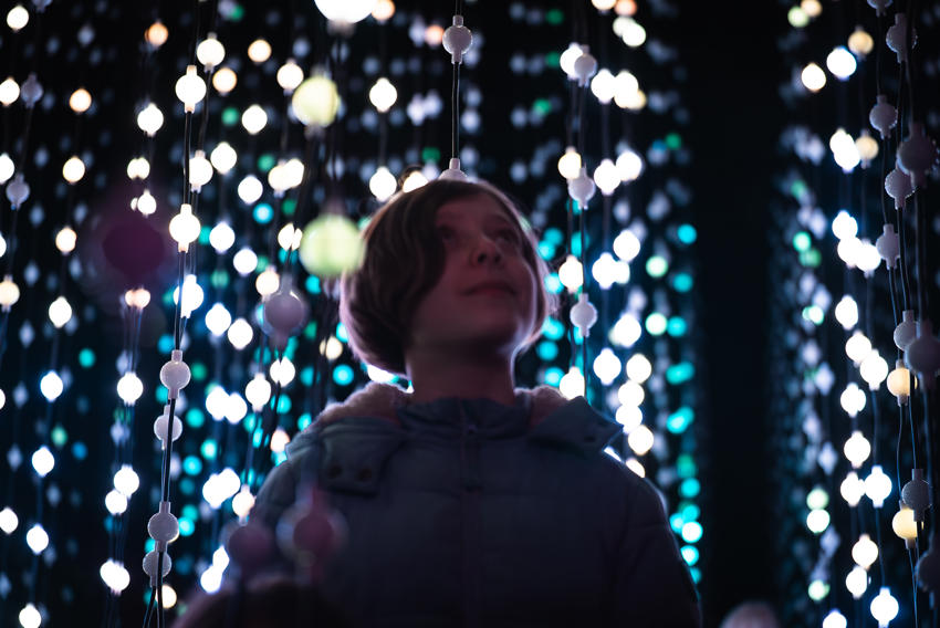 Lanterns And Light Emily