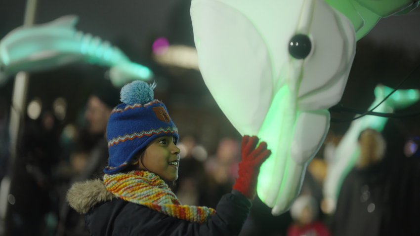 Dolphin Puppet And Child 2