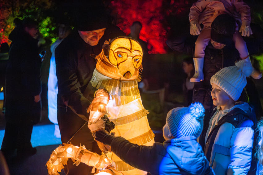 David Hughes Lanterns & Light 2025 007