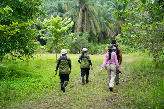 Mowgli Street Food Teams Up With Chester Zoo To Help Prevent Wildlife Extinction In South East Asia Borneo.