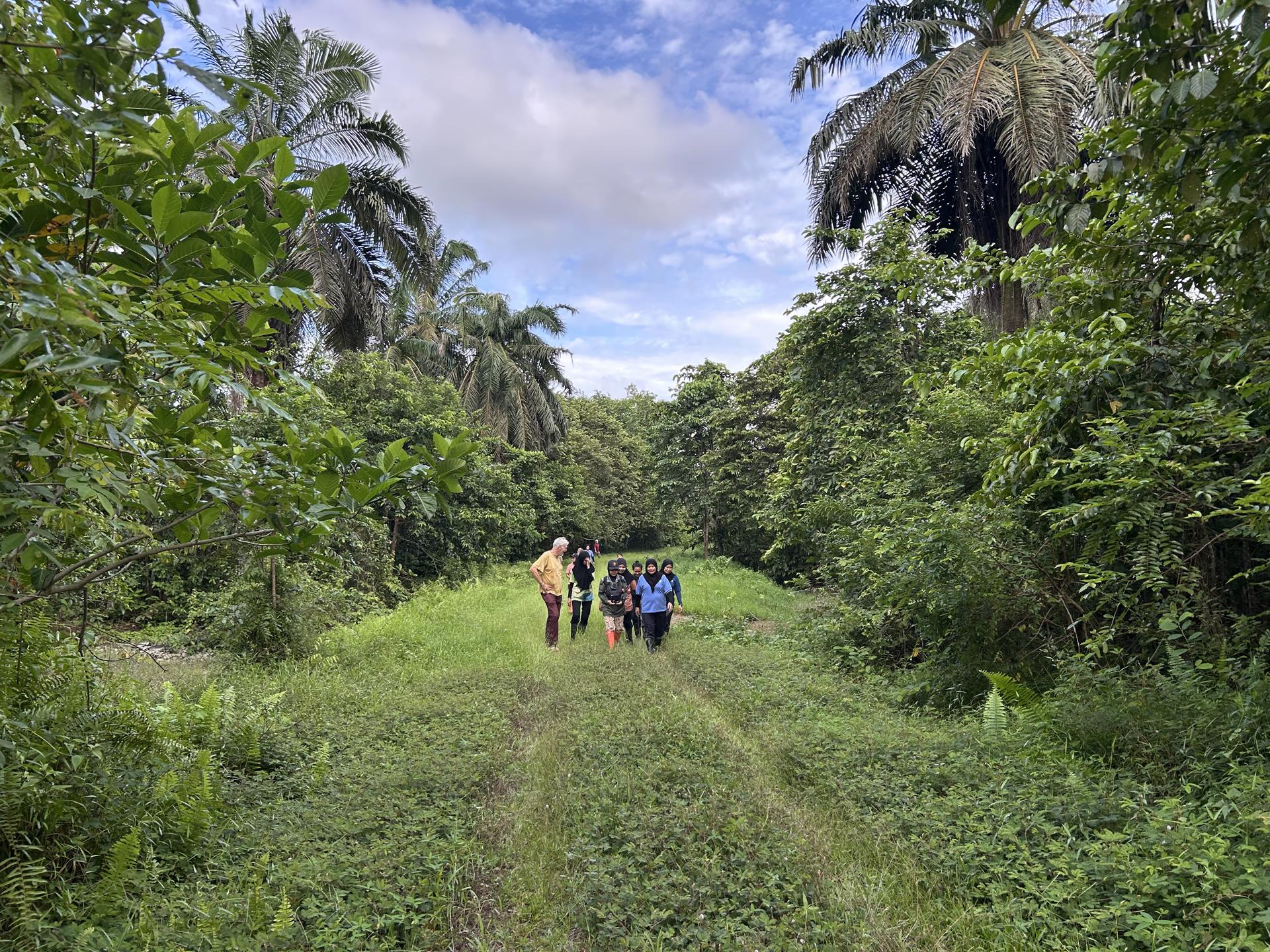 A team of people walking through a green landscape in Borneo
