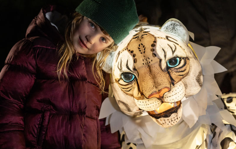 Lanterns Snow Leopard Puppet