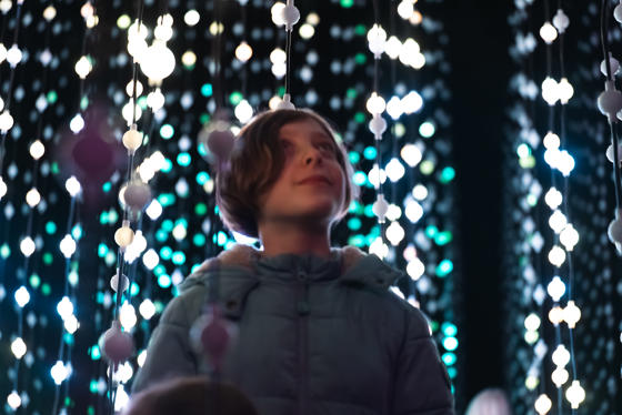 Emily Ryan Lanterns & Light 2025 038