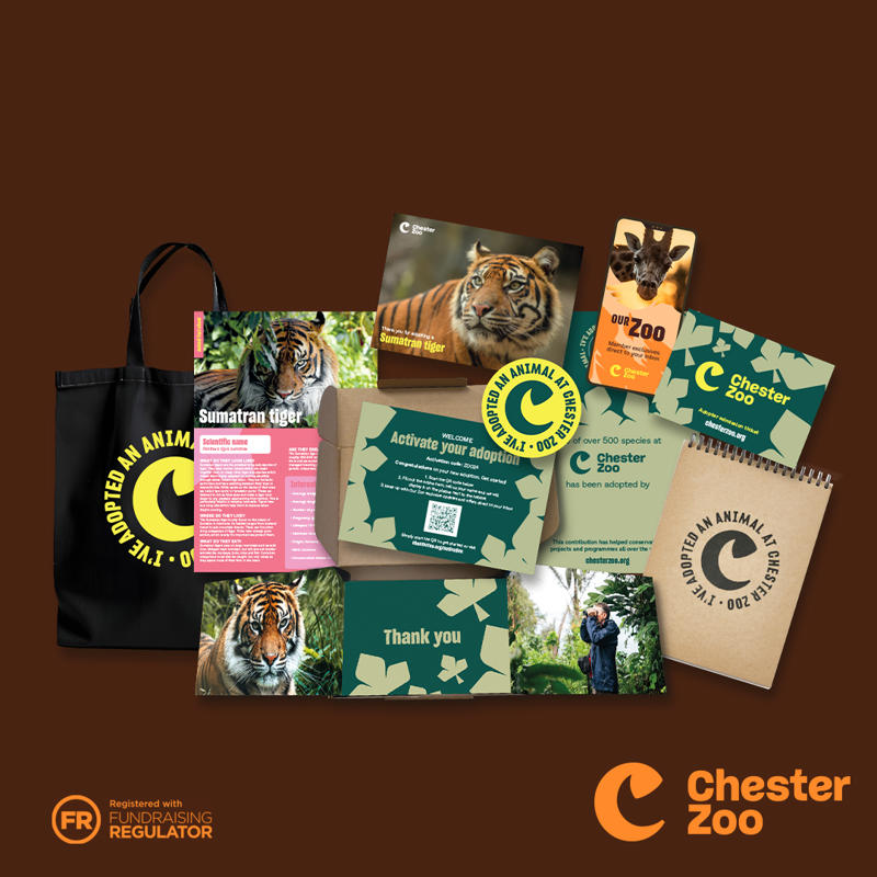 The contents of a tiger adoption pack, Gold level