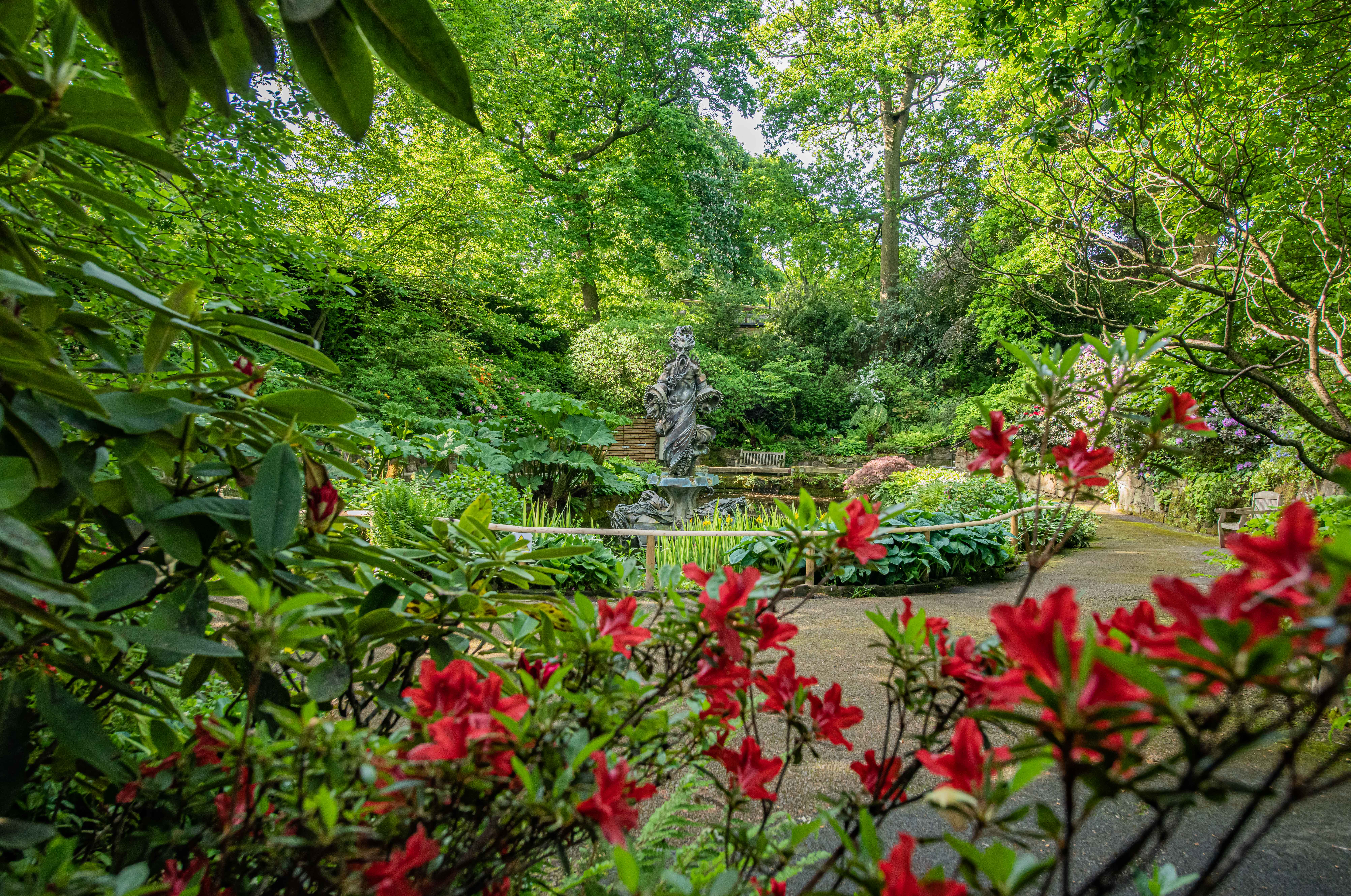 Sunken Garden
