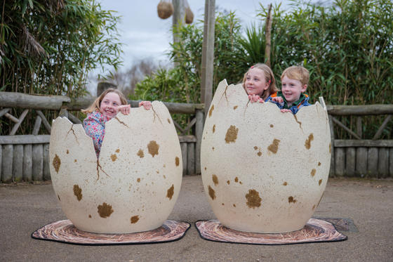 Egg Trail 2026 1