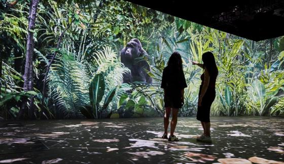 Our Story With David Attenborough 4 (C) Trustees Of The Natural History Museum Lr