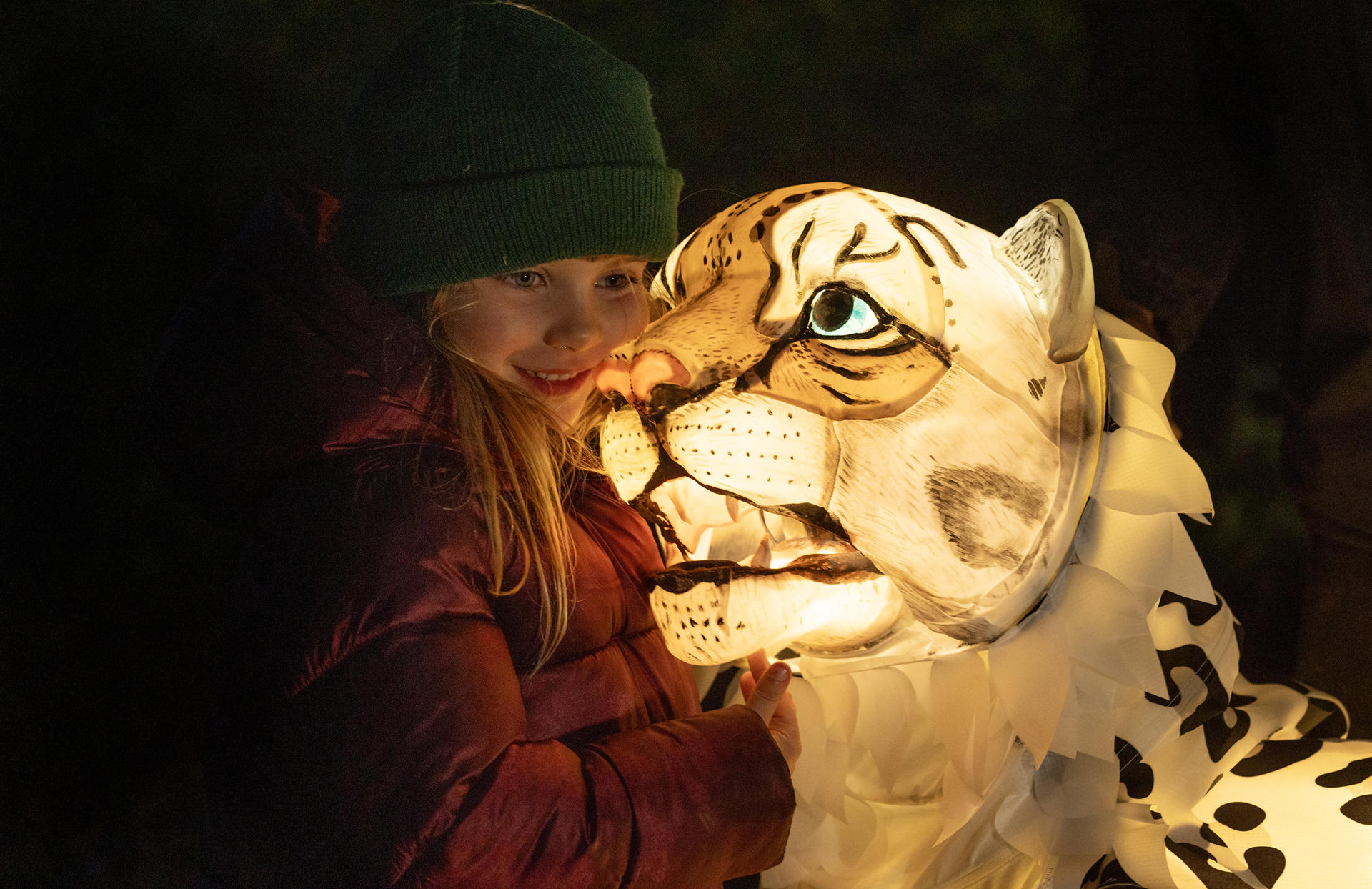 Snow Leopard Puppet, Lanterns And Light 2024 (24)