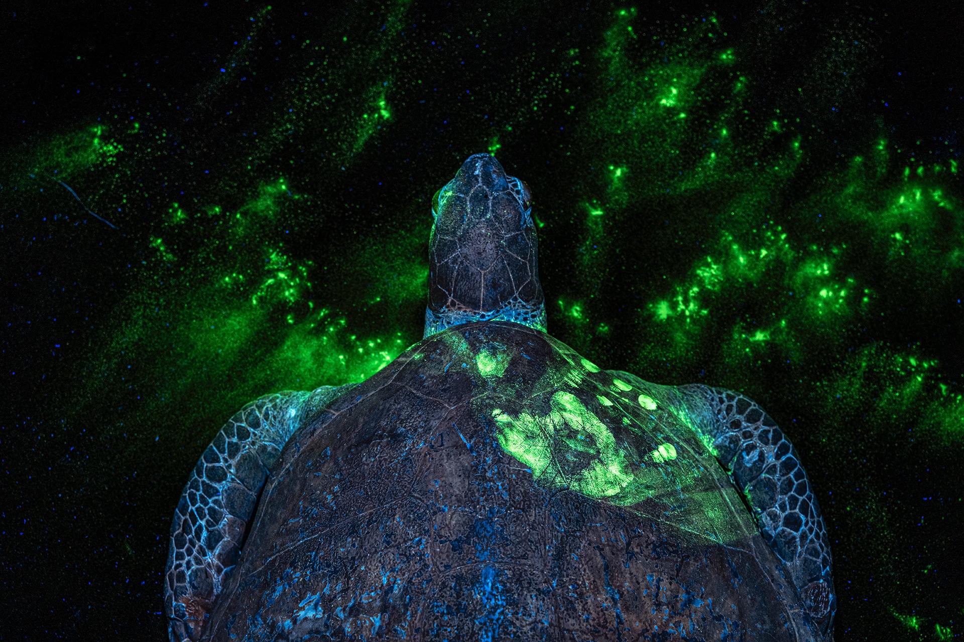 Britta Jaschinski EVERY CRIME LEAVES A TRACE 114931 (1)