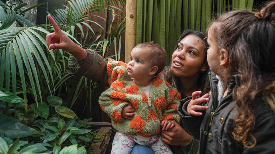 Family Pointing Into Habitat (1)