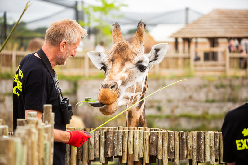 New Giraffe Experience 004