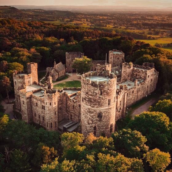 Peckforton SQUARE