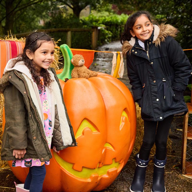 Chesterzooxhappylittlesoles Halloween Sept24 19 (1)