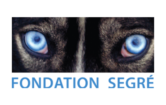 Fondation Segre