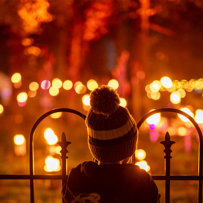Lanterns And Light Fire Garden