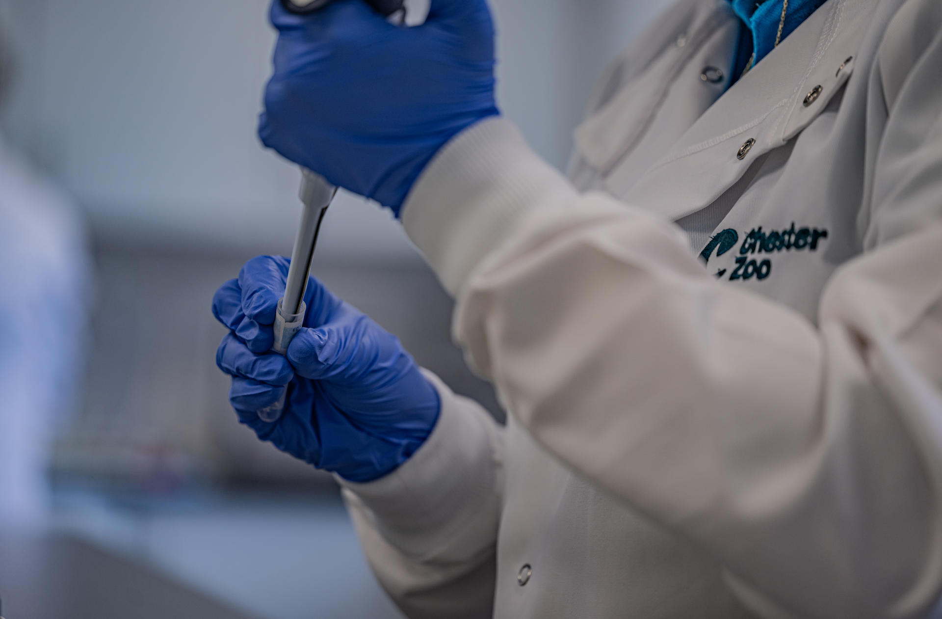 Scientists At Chester Zoo Have Helped To Develop The World's First Vaccine To Protect Endangered Elephants Against A Deadly Virus1 (1)