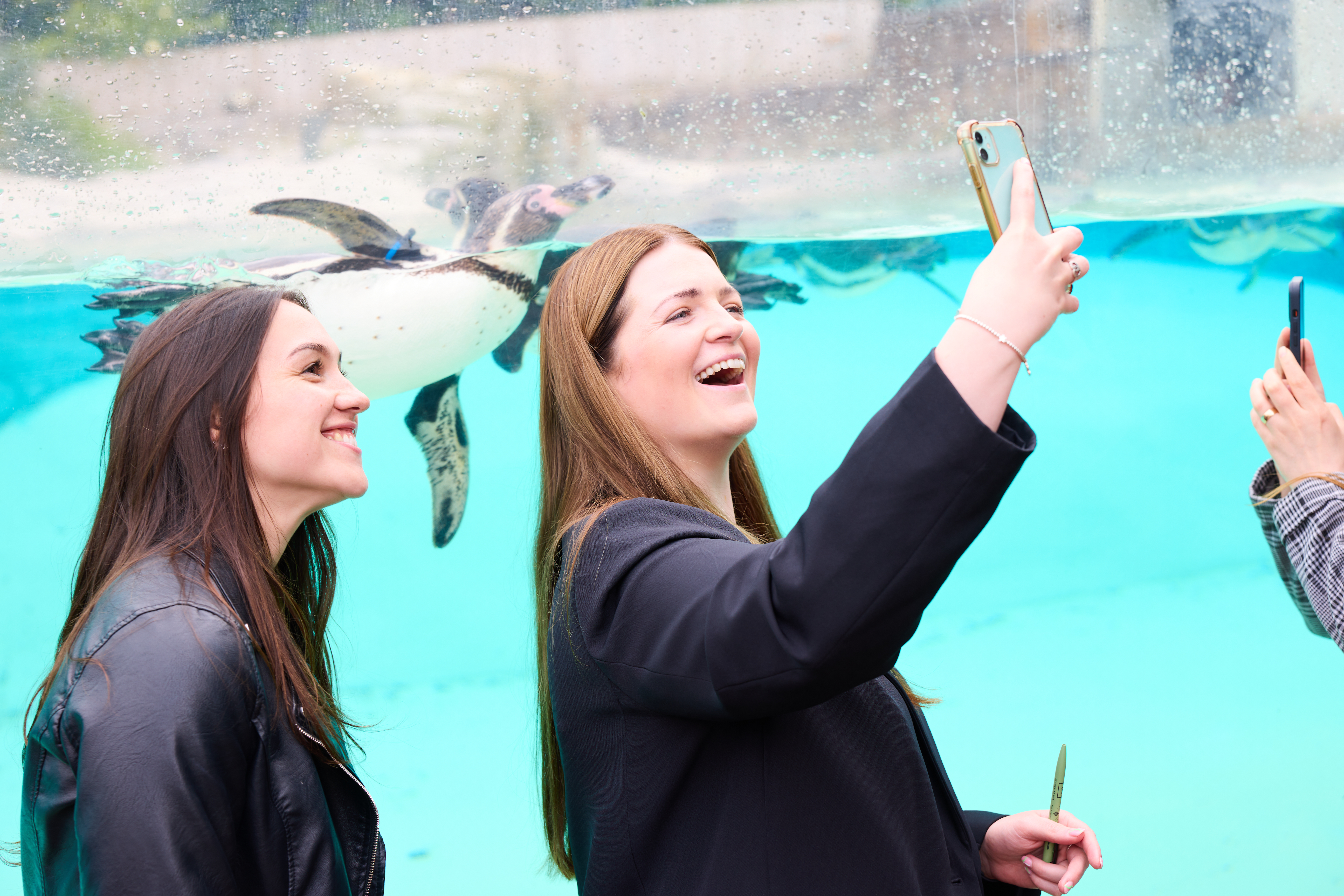 Two Women Taking A Picture With The Penuins