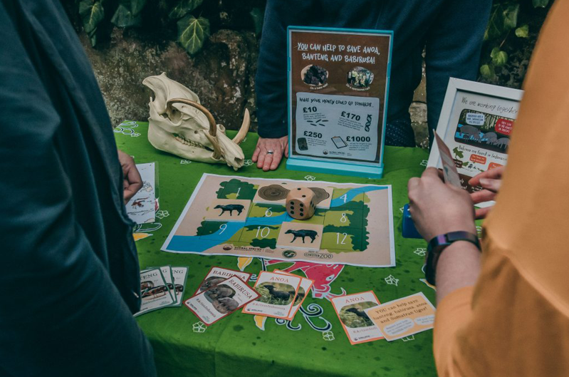 A photo of an action indonesia day themed information stand at chester zoo. There's a babirusa skull and there are stickers and signs on it