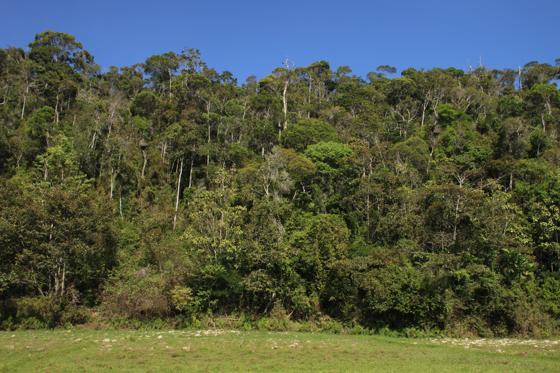 MADAGASCAR 1218 LANDSCAPE (Expedition, Mangabe) (23)