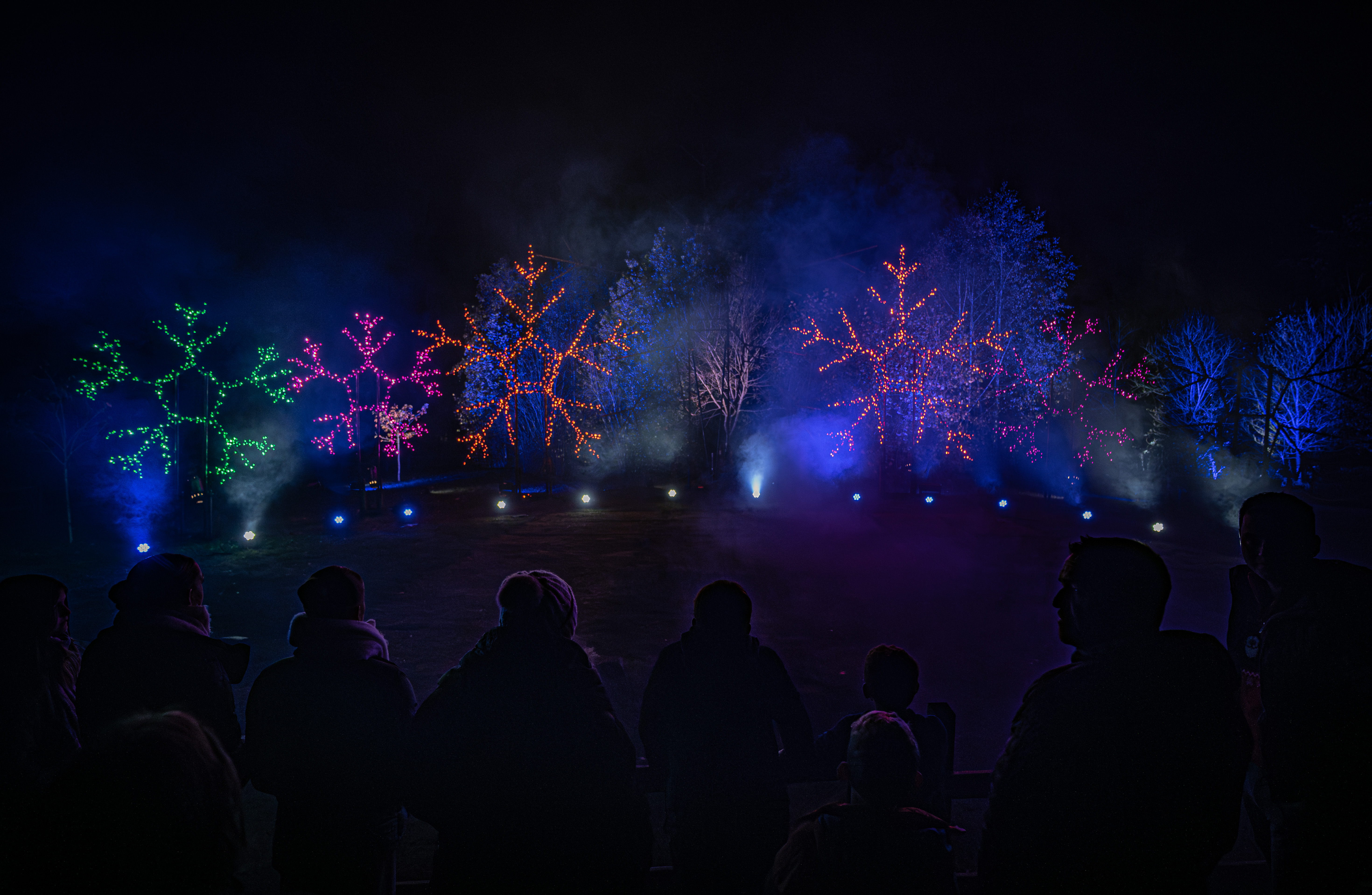 Lanterns25 11