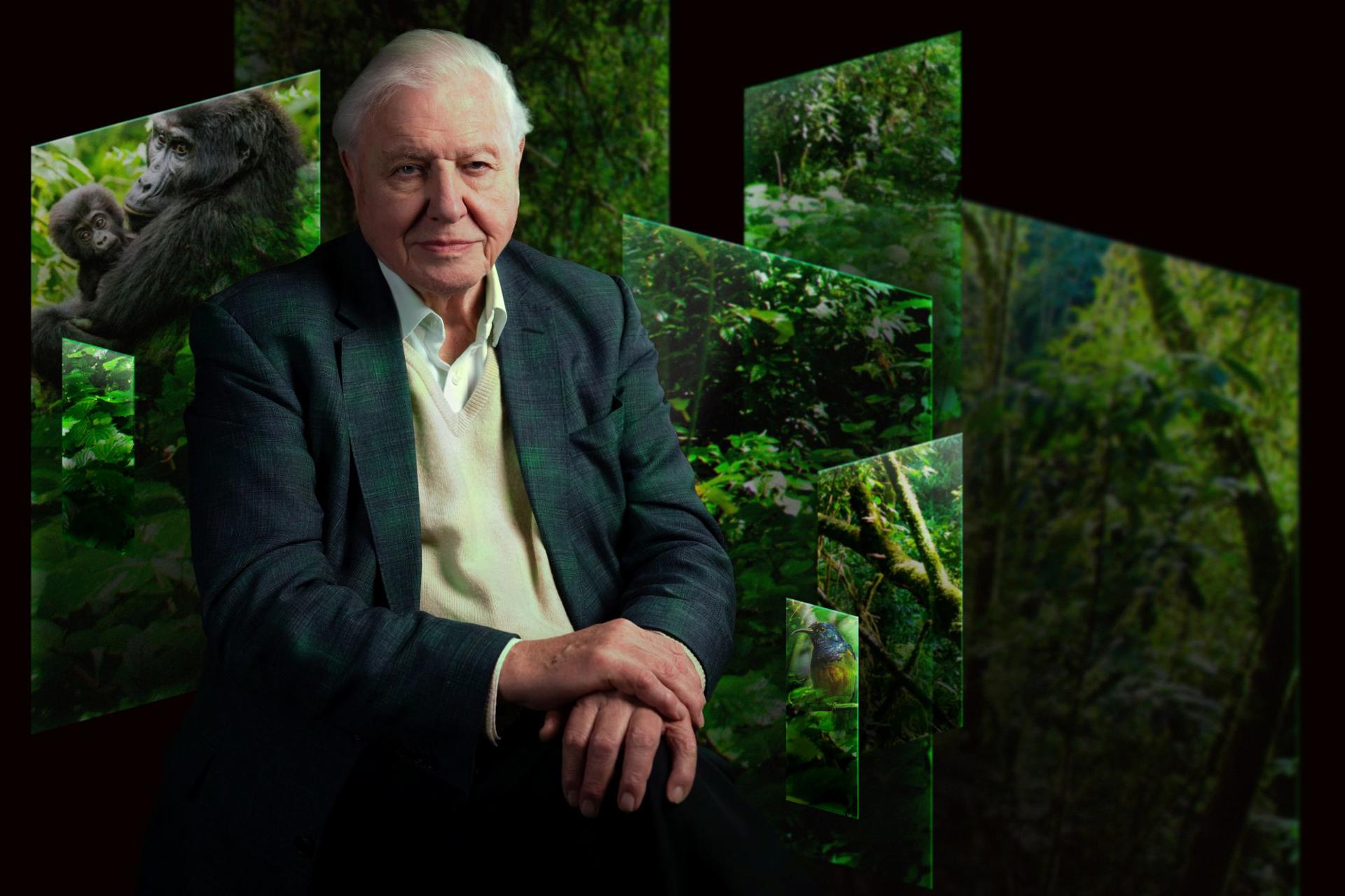 Our Story With David Attenborough ART NO TEXT (C) Trustees Of The Natural History Museum 2 Lr