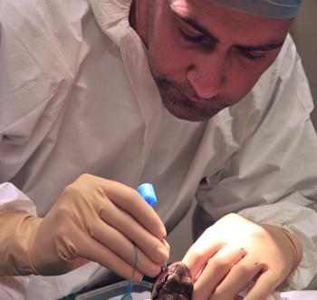 Photo Of Javier Lopez, Vet Centre