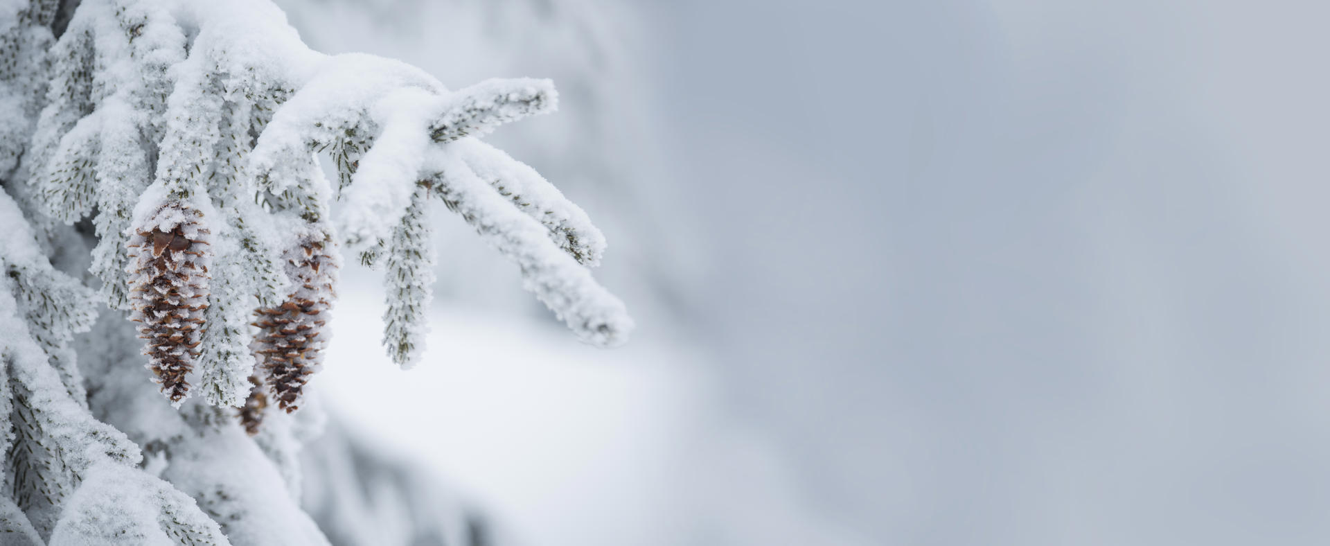 Adobestock 639950861