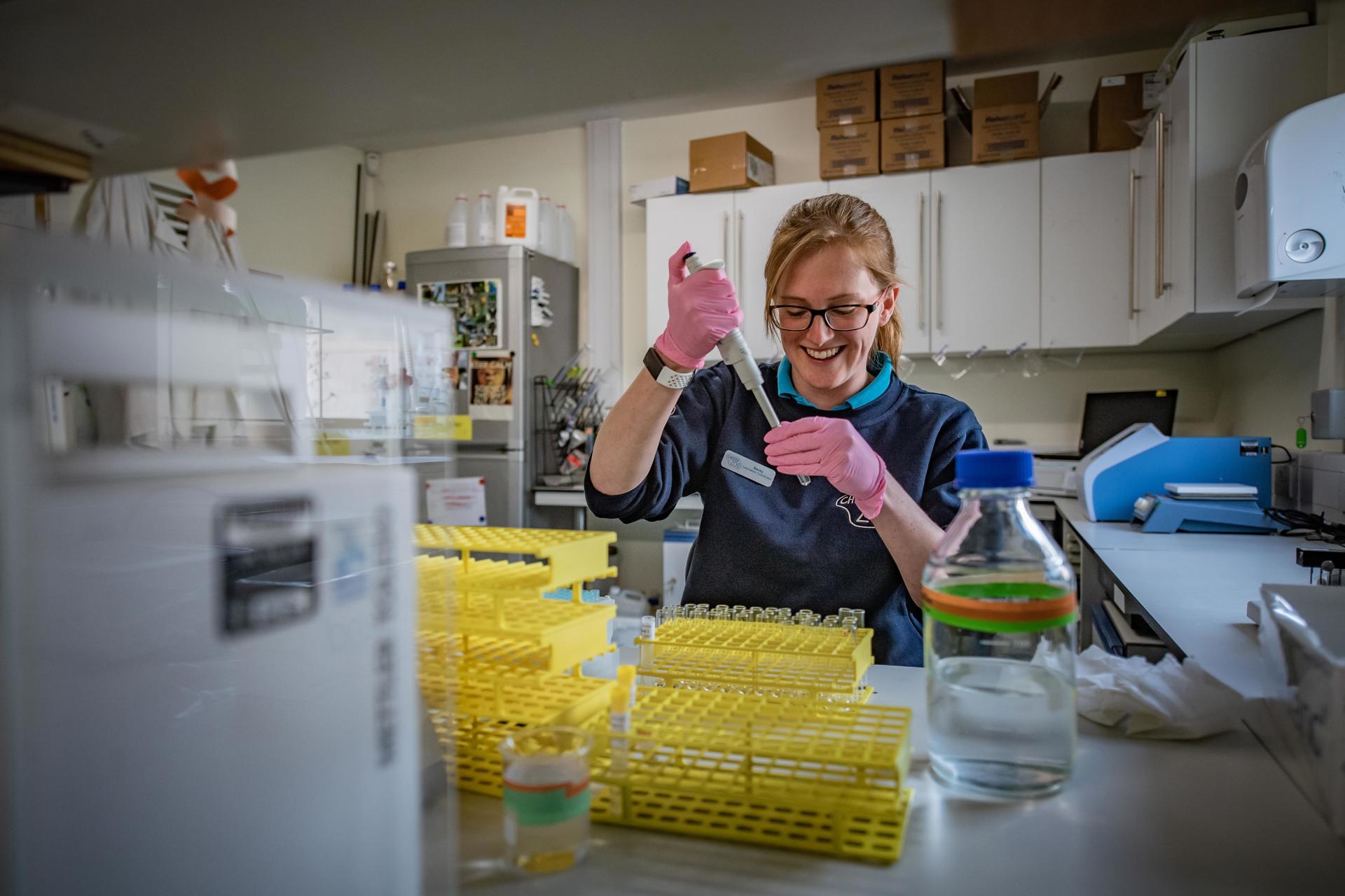 Science staff member using pipette to fill sample tubes