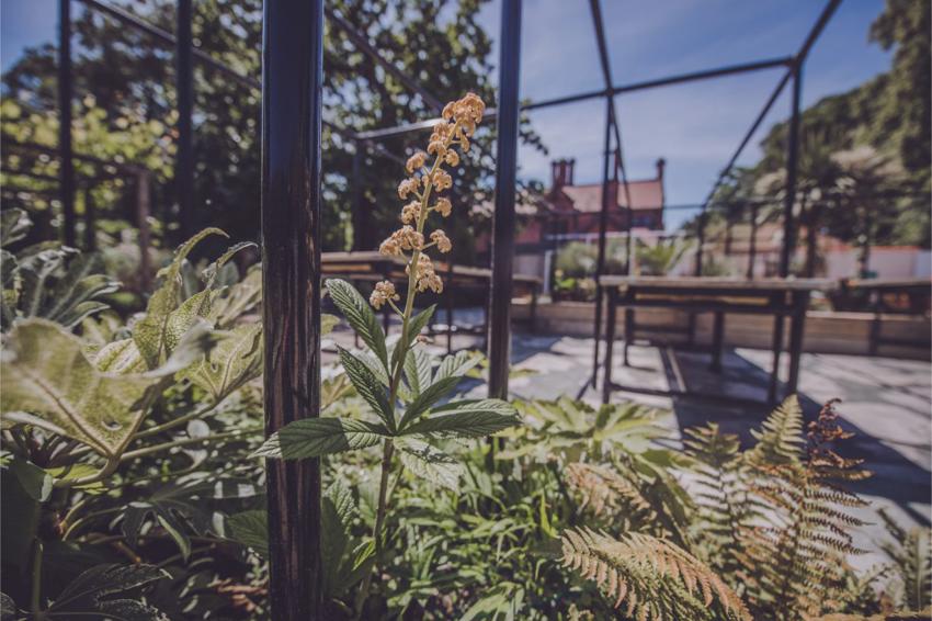 Flower In The Zoo