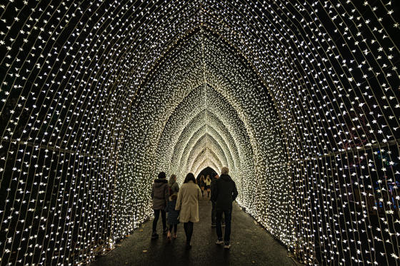 2024 Steve Rawlins Lanterns & Light 093