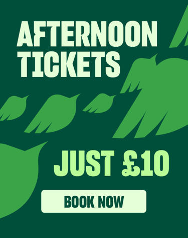 Afternoon Tickets Carousel