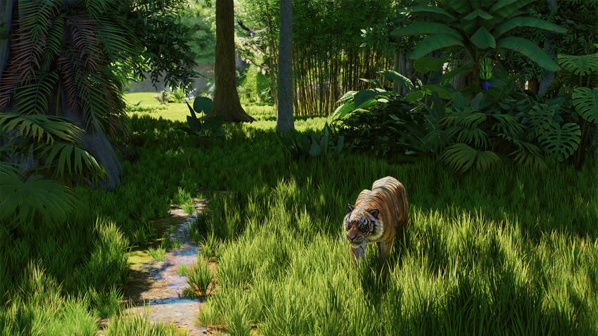 34 PZ2 Gameplay Shot10 Wild Reserve Beauty Tiger 1920X1080