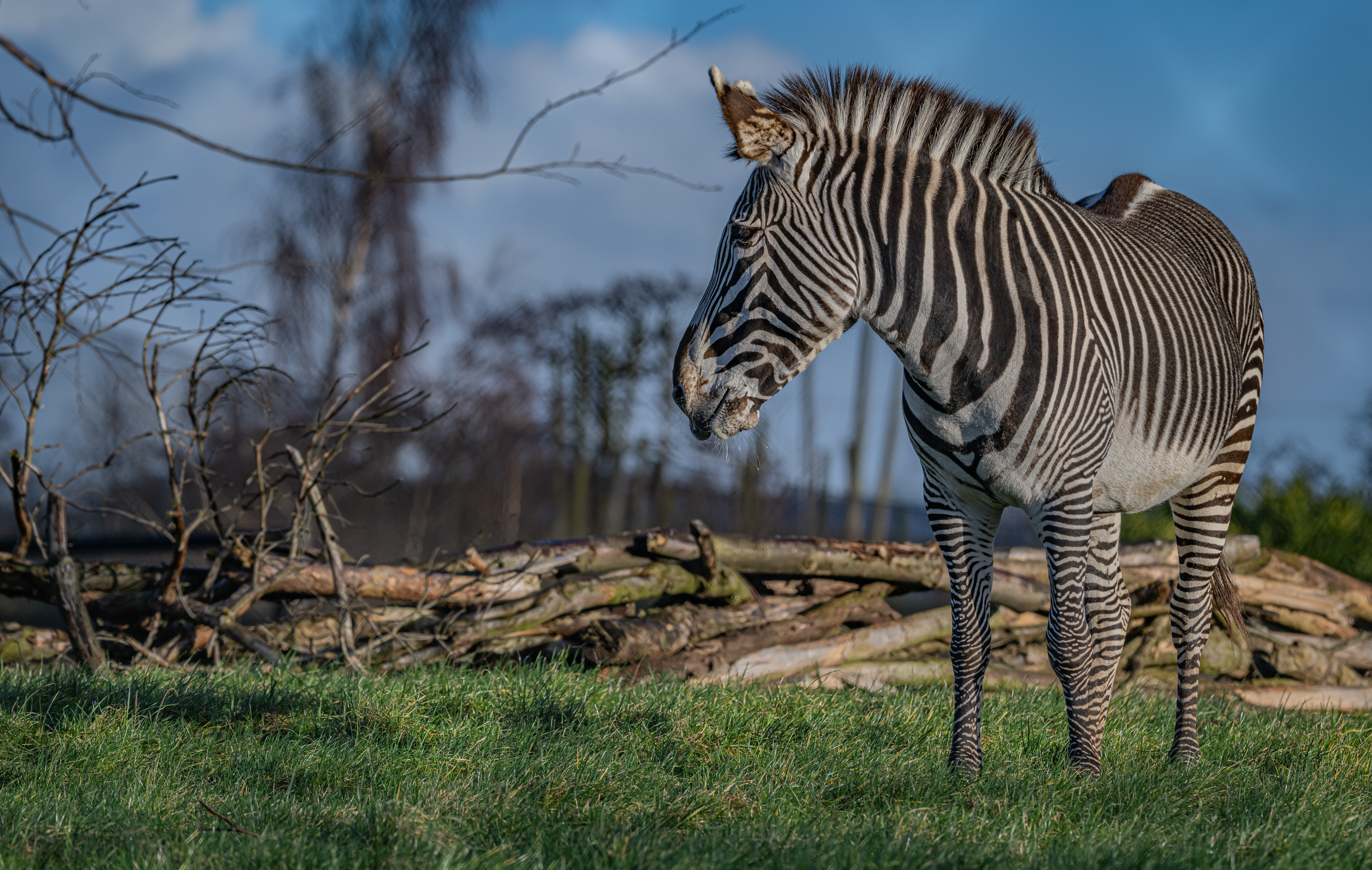 Heart of Africa | Chester Zoo