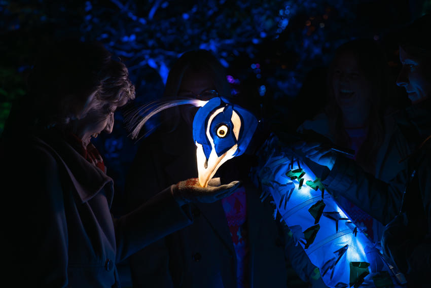 Emily Ryan Lanterns & Light 2025 008