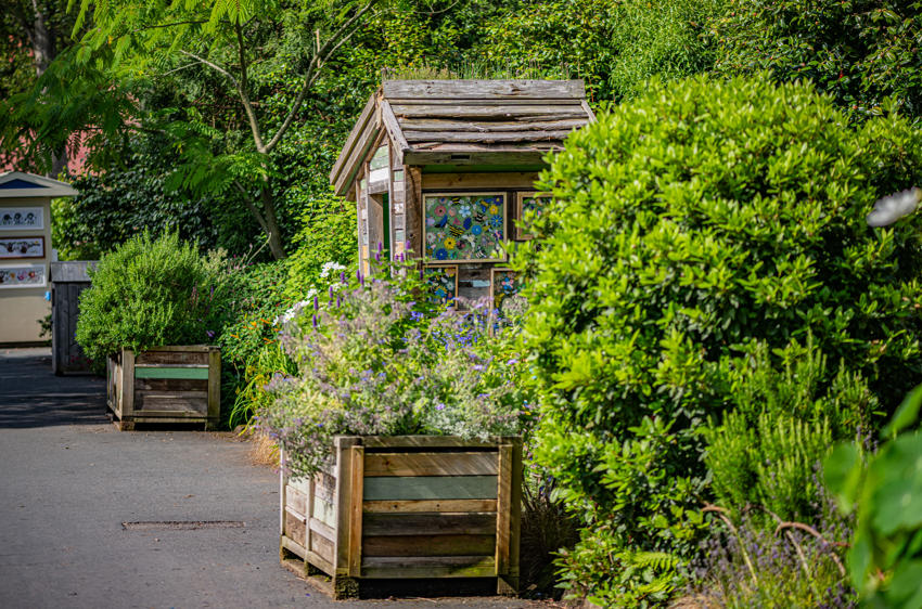 Bee Garden 3