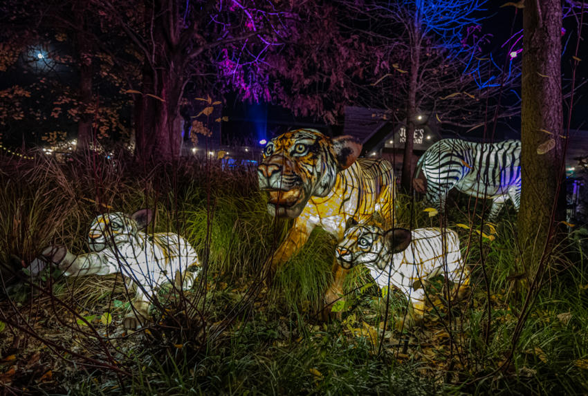 Illuminated Animals at Lanterns and Light
