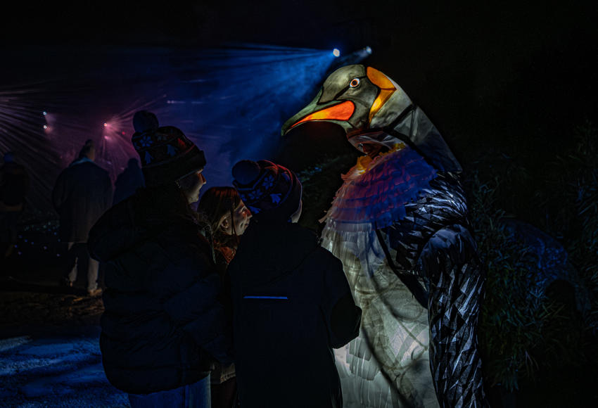 Steve Rawlins Lanterns & Light 013